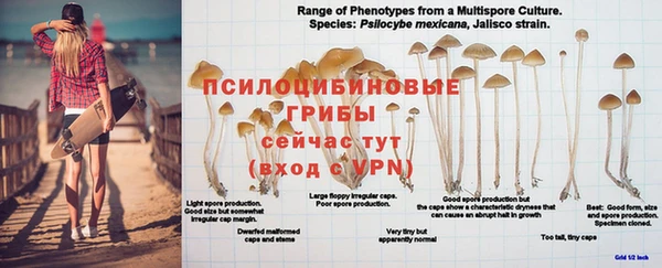 первитин Белоозёрский